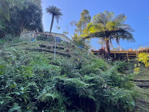 Gully Retreat in ฟอเรสต์ เลค Gully Retreat in ฟอเรสต์ เลค