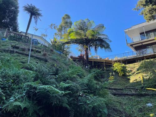 Gully Retreat in ฟอเรสต์ เลค Gully Retreat in ฟอเรสต์ เลค