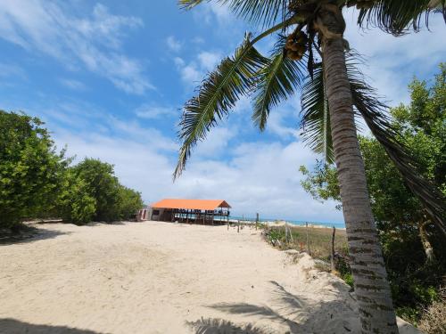 Θέα, Hotel La Jungla in Γκαλαπάγκος Θέα, Hotel La Jungla in Γκαλαπάγκος