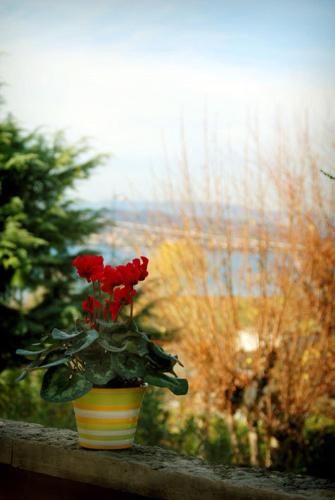 This photo about Albergo La Quiete shared on HyHotel.com