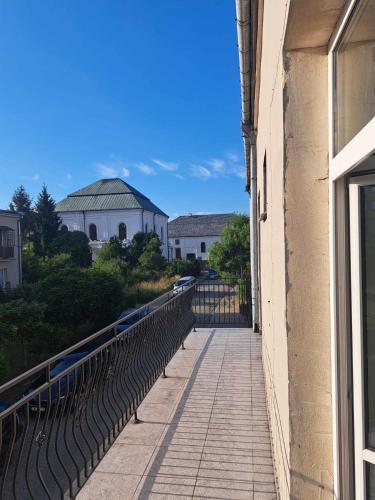 Wlodawa spot in Włodawa Wlodawa spot in Włodawa