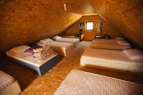 Household Šain (Household Sain) in Pluzine Household Šain (Household Sain) in Pluzine