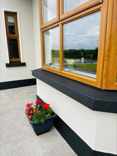 Exterior view, Lisalway Country Lodge in Castlerea Exterior view, Lisalway Country Lodge in Castlerea