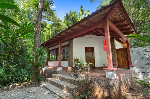 Vistas, Ian Anderson Caves Branch Jungle Lodge in Belmopan Vistas, Ian Anderson Caves Branch Jungle Lodge in Belmopan