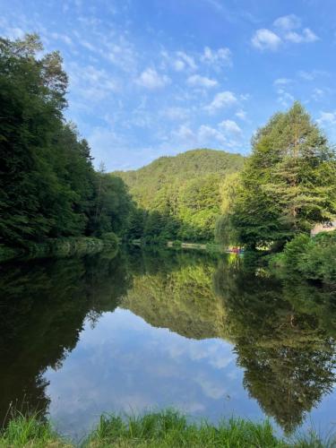Kleine, aber feine Unterkunft mit direktem Waldzugang in هوينستين Kleine, aber feine Unterkunft mit direktem Waldzugang in هوينستين