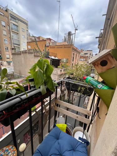 Apartamento con vistas a Sagrada familia