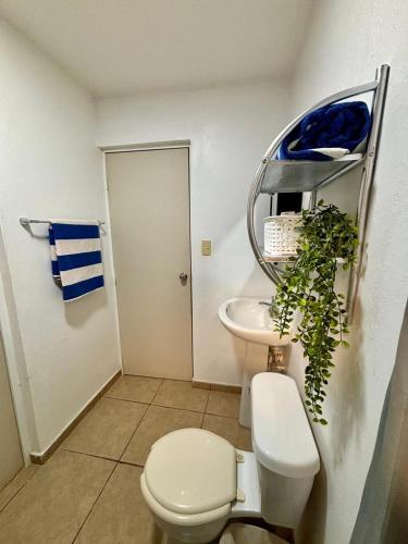 Fürdőszoba, Habitación doble cerca de Jardin Botanico & UAS (Habitacion doble cerca de Jardin Botanico & UAS) in Las Quintas Fürdőszoba, Habitación doble cerca de Jardin Botanico & UAS (Habitacion doble cerca de Jardin Botanico & UAS) in Las Quintas