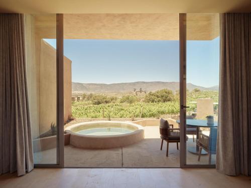 View, Banyan Tree Veya Valle de Guadalupe in San Marcos View, Banyan Tree Veya Valle de Guadalupe in San Marcos