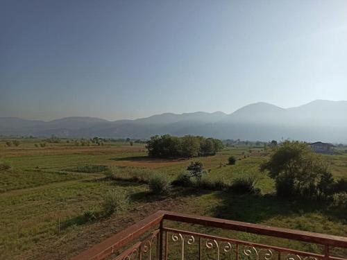 Casa dal tetto verde!