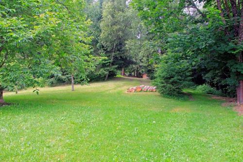 Garden, Haus Rita in Thurmansbang Garden, Haus Rita in Thurmansbang