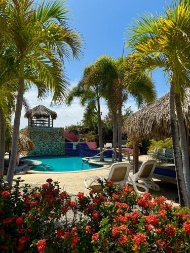 Pool, Waterlands Village Bonaire - Oceanview Villa 9 near Flamingo-Bonaires internationella flygplats Pool, Waterlands Village Bonaire - Oceanview Villa 9 near Flamingo-Bonaires internationella flygplats