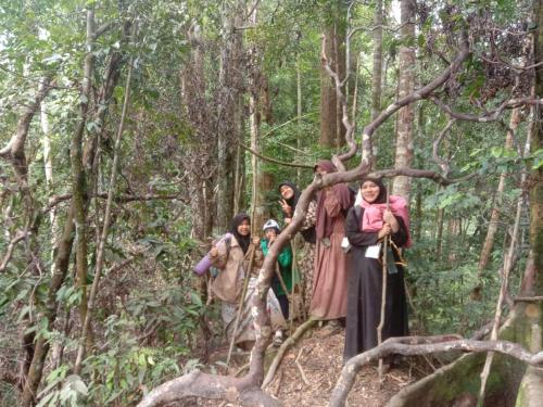 Sawah Resto Bungalow & Jungle Trekking in Bukit Lawang Sawah Resto Bungalow & Jungle Trekking in Bukit Lawang