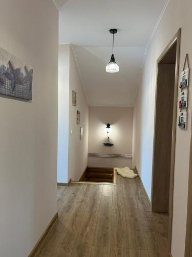 Előcsarnok, Lotus Retreat in Ciofliceni Előcsarnok, Lotus Retreat in Ciofliceni