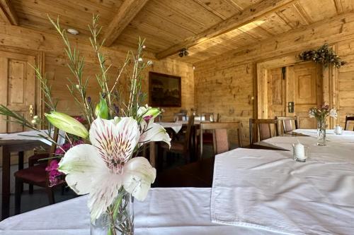 Hotel RON in Mikulasovice Hotel RON in Mikulasovice