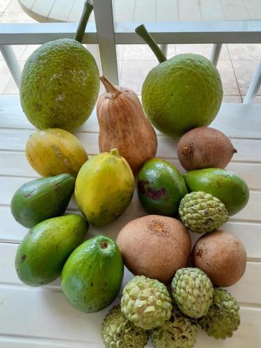 Food and beverages, Dans un coin de verdure in Lamentin Food and beverages, Dans un coin de verdure in Lamentin