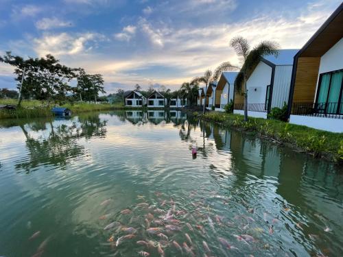 Pailin Place in Pong Nam Ron Pailin Place in Pong Nam Ron