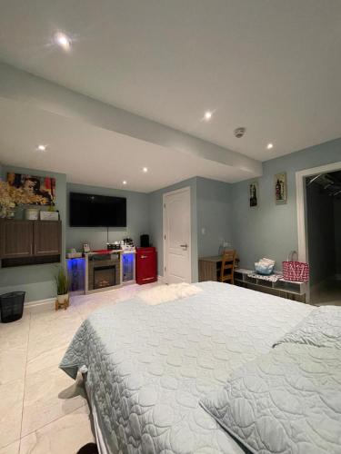 Beautiful luxurious suite close to lakeshore