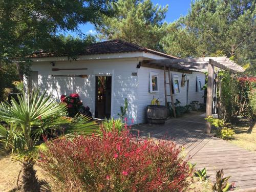 Chalet 8 personnes Landes, 4 Chambres in Lit-Et-Mixe Chalet 8 personnes Landes, 4 Chambres in Lit-Et-Mixe