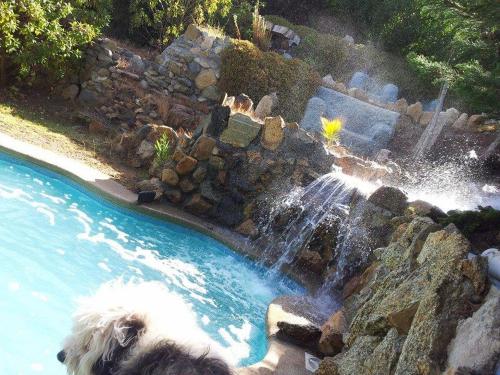 This photo about Casa Cuento shared on HyHotel.com