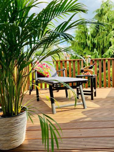 景觀, Terrassenwohnung mit Gartenblick in 索林根 景觀, Terrassenwohnung mit Gartenblick in 索林根