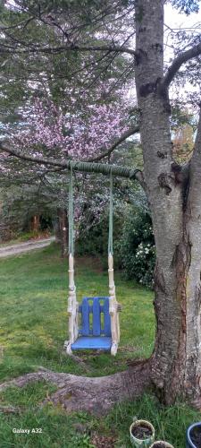 CABAÑAS ISITEPUAL 5 min aeropuerto y 10 min del centro (CABANAS ISITEPUAL 5 min aeropuerto y 10 min del centro) in Puerto Montt CABAÑAS ISITEPUAL 5 min aeropuerto y 10 min del centro (CABANAS ISITEPUAL 5 min aeropuerto y 10 min del centro) in Puerto Montt