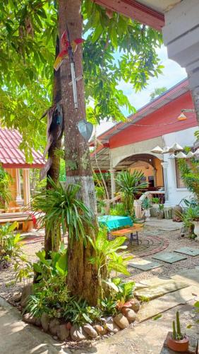 Khamphouy Guesthouse in Champasak Khamphouy Guesthouse in Champasak