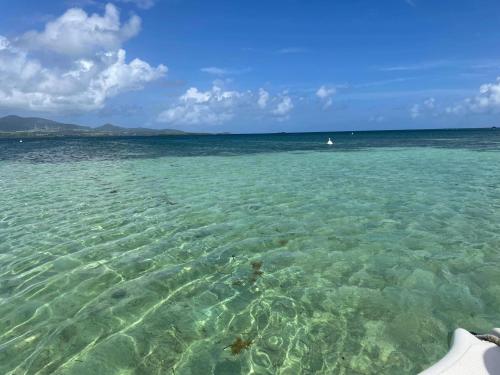 Beach, Dans un coin de verdure in Lamentin Beach, Dans un coin de verdure in Lamentin