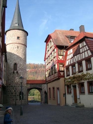 Létesítmények, FeWo Maintor Karlstadt in Karlstadt Létesítmények, FeWo Maintor Karlstadt in Karlstadt