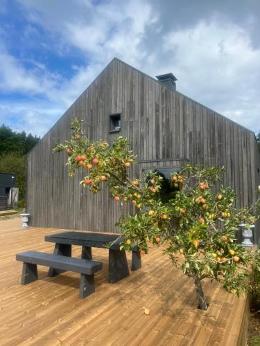 Villa Sudrabiņi (Villa Sudrabini) in Pavilosta Villa Sudrabiņi (Villa Sudrabini) in Pavilosta