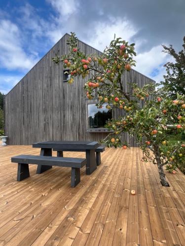 Villa Sudrabiņi (Villa Sudrabini) in Pavilosta Villa Sudrabiņi (Villa Sudrabini) in Pavilosta