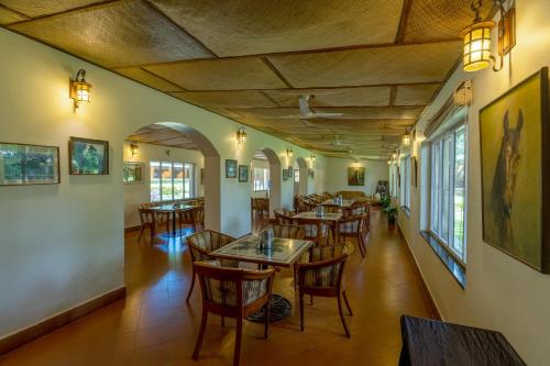 Food and beverages, Olive Farm @ Embassy International Riding School near Ghati Subramanya Temple Food and beverages, Olive Farm @ Embassy International Riding School near Ghati Subramanya Temple
