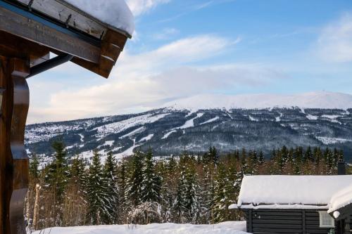 ReveEnka - cabin in Trysil with Jacuzzi for rent in Trysil ReveEnka - cabin in Trysil with Jacuzzi for rent in Trysil