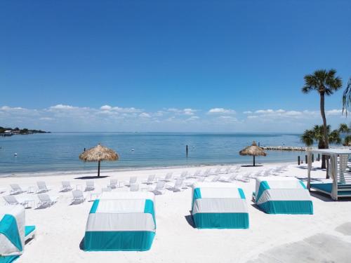 plajă, SkyBeach Resort in St. Petersburg (FL) plajă, SkyBeach Resort in St. Petersburg (FL)
