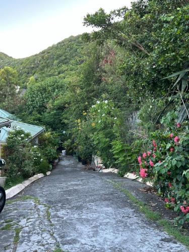 Сад, Bayside Paradise Apartment, minutes from the beach in Guana Bay Сад, Bayside Paradise Apartment, minutes from the beach in Guana Bay