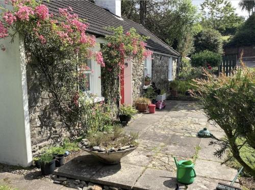Secret Cottage by the sea Co Cork Ireland in Kilbrittain Secret Cottage by the sea Co Cork Ireland in Kilbrittain