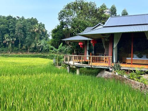 VuLinh Family-Homestay in Yen Binh (Yen Bai) VuLinh Family-Homestay in Yen Binh (Yen Bai)