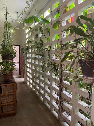 حديقة, Hechtech House in أوسو حديقة, Hechtech House in أوسو