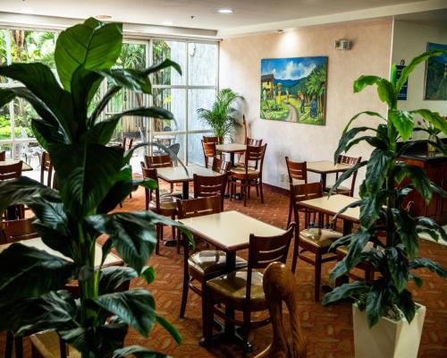 Restaurant, Metrotel Express in San Pedro Sula Restaurant, Metrotel Express in San Pedro Sula