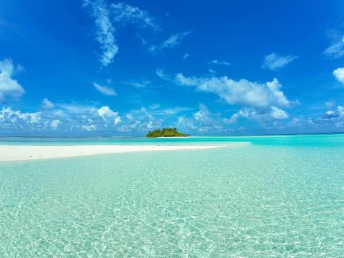 Attractions, Bambukeyo Villa in Thaa Atoll Attractions, Bambukeyo Villa in Thaa Atoll