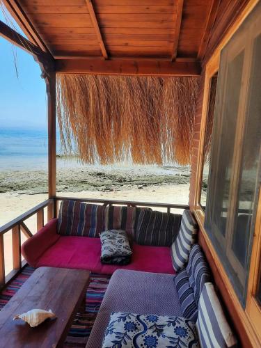 Sayal camp new in Taba Sayal camp new in Taba