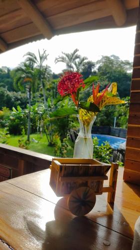 廚房, Finca Colibri Ecolodges en Pleine Nature ferry Playa Najanjo Costa Rica in 大蒙塔納 廚房, Finca Colibri Ecolodges en Pleine Nature ferry Playa Najanjo Costa Rica in 大蒙塔納
