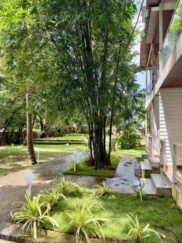 Magic Sand Beach Resort in Arambol Beach Magic Sand Beach Resort in Arambol Beach