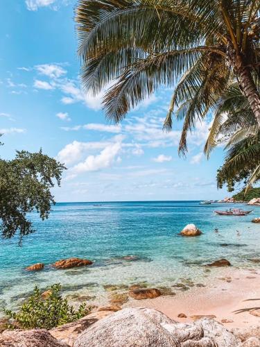 P.D. リゾート コ タオ14