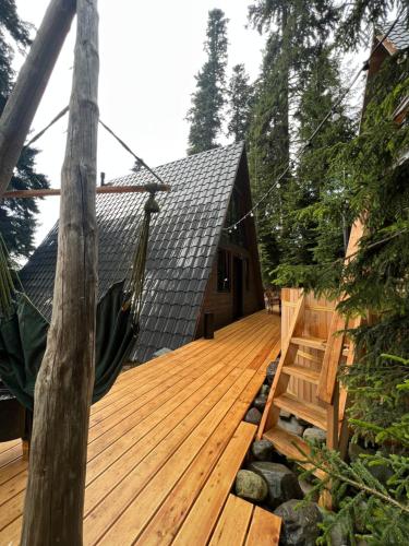 A-Frame Bakhmaro in Bakhmaro A-Frame Bakhmaro in Bakhmaro