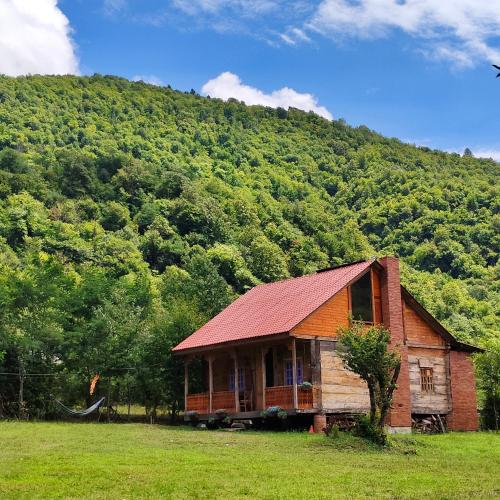 Näkymä, Forest Dream ტყის სიზმარი in Tsageri Näkymä, Forest Dream ტყის სიზმარი in Tsageri