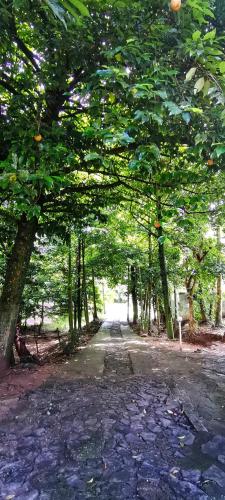 Kandy Nutmeg Villa in كادوجاناوا Kandy Nutmeg Villa in كادوجاناوا