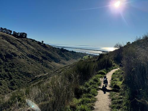 مناطق جذب قريبة, Redcliffs On Park By Sea in Mount Pleasant مناطق جذب قريبة, Redcliffs On Park By Sea in Mount Pleasant