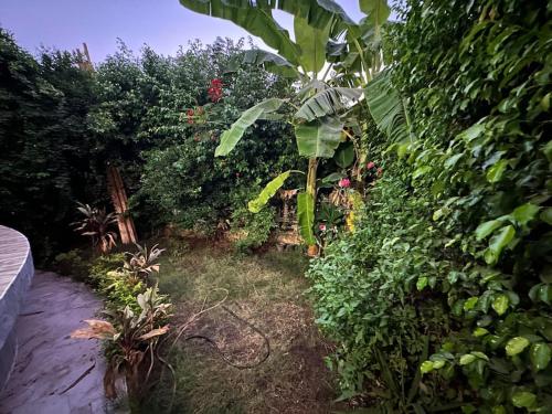 Rehab 2, Gate 24, private Garden