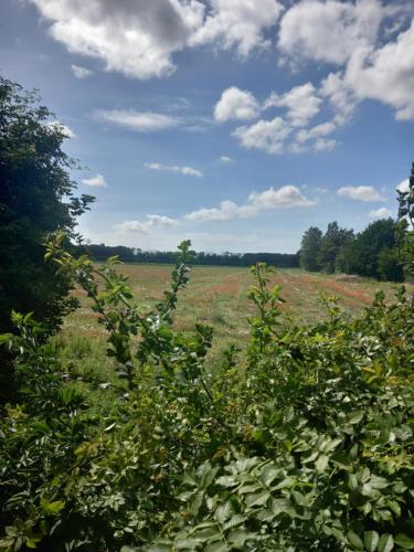 roulotte chez France in 奧耶普拉日 roulotte chez France in 奧耶普拉日