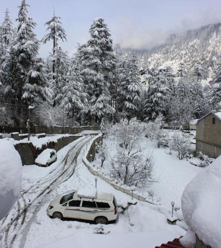 tuin, The Orchard Greens Manali in Manali tuin, The Orchard Greens Manali in Manali